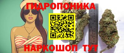дурь Краснознаменск