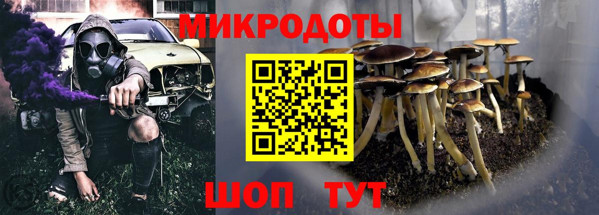 Калининград  Галлюциногенные грибы прущие грибы  Вход с VPN 